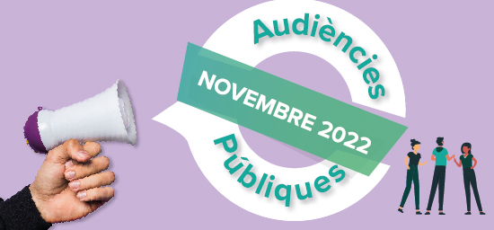 Audiències públiques 2022