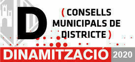 Dinamització Comunitària als Consells de Districte 2020